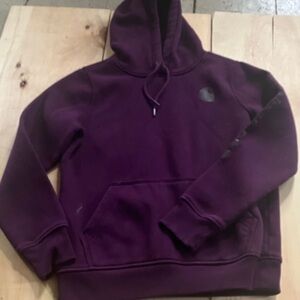 Carhartt Men's Dark Purple Hoodie